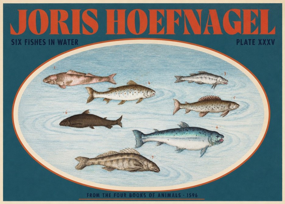 Joris Hoefnagel Six Fishes in Water I No2 - Juliste
