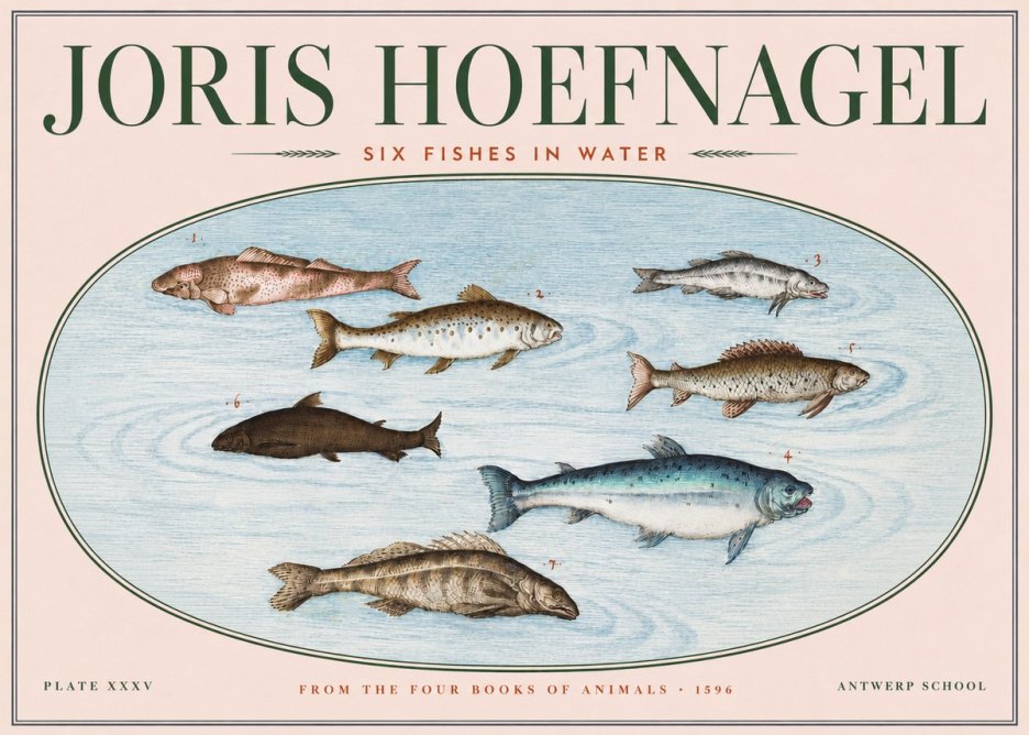 Joris Hoefnagel Six Fishes in Water I No3 - Juliste