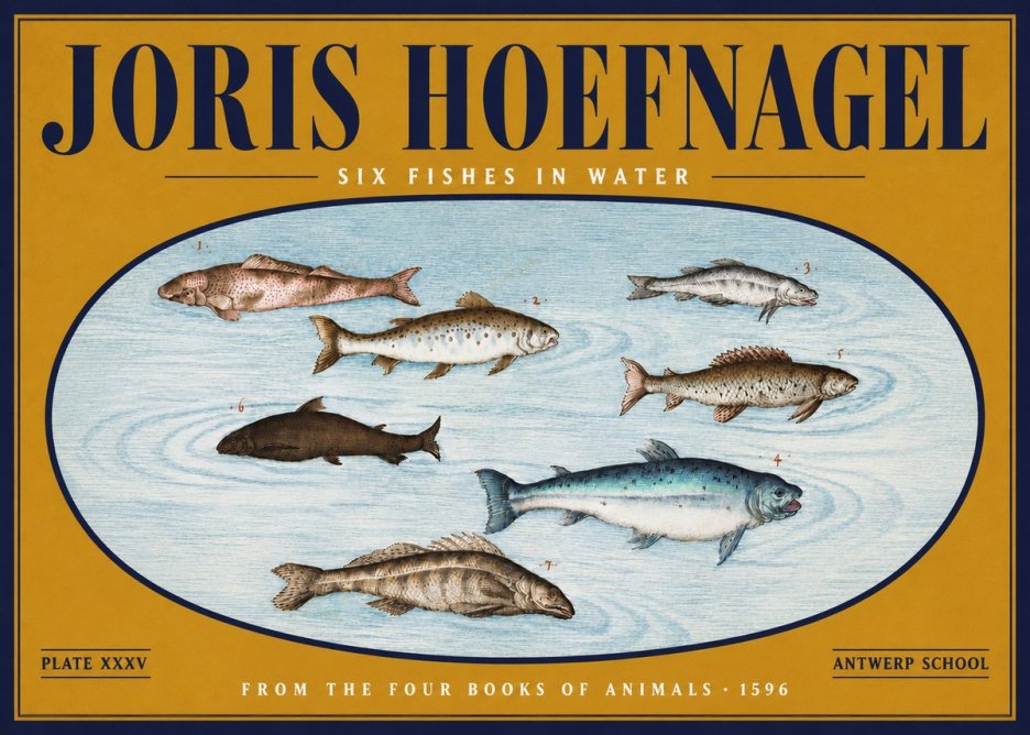 Joris Hoefnagel Six Fishes in Water I No4 - Juliste