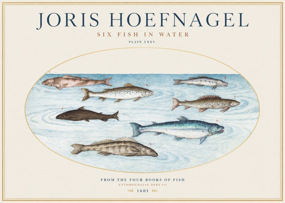 Joris Hoefnagel Six Fishes in Water I No5 - Juliste