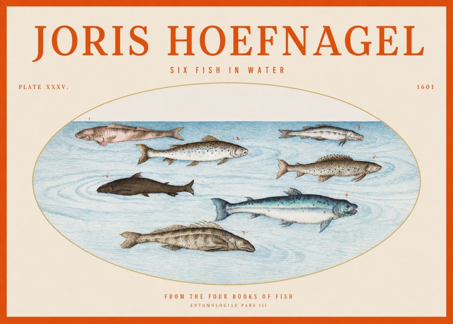 Joris Hoefnagel Six Fishes in Water I No6 - Juliste