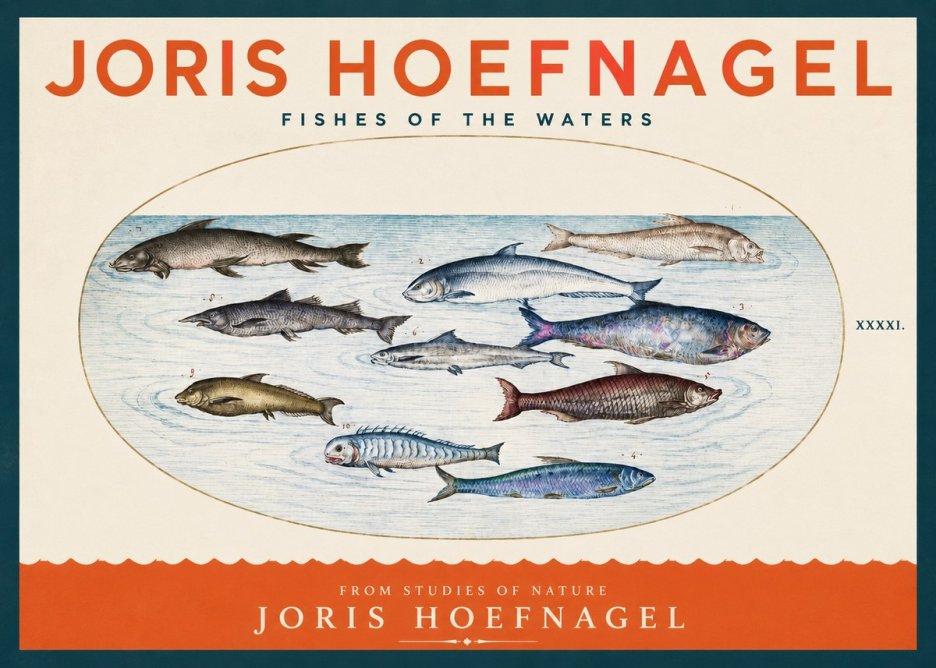Joris Hoefnagel Fishes of the Waters II No2 - Juliste
