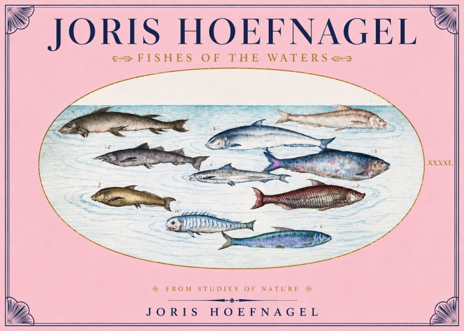 Joris Hoefnagel Fishes of the Waters II No3 - Juliste