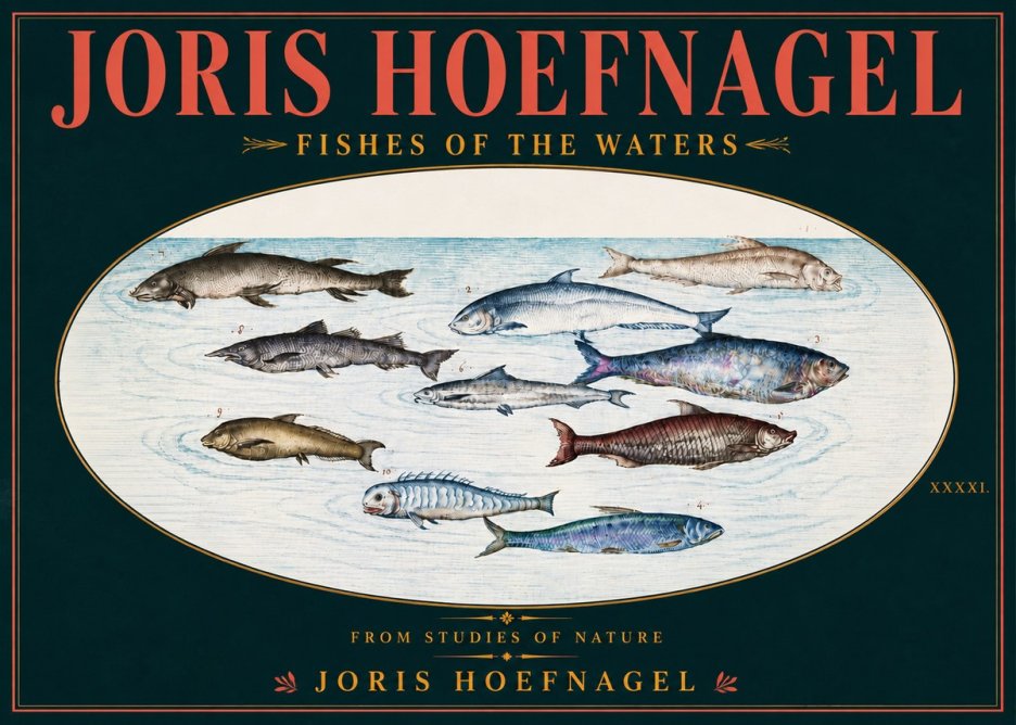 Joris Hoefnagel Fishes of the Waters II No6 - Juliste