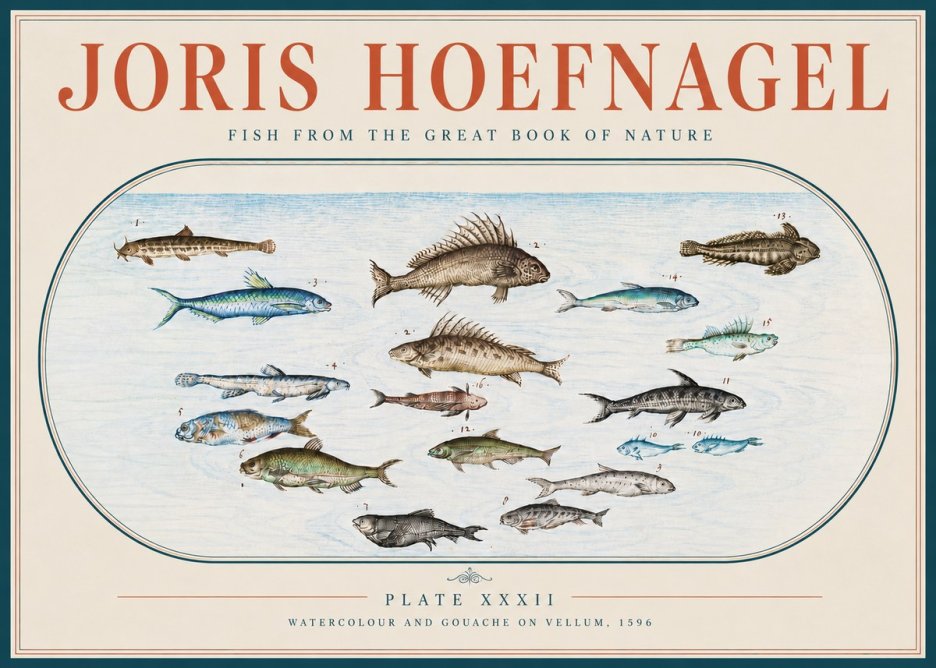 Joris Hoefnagel Fish from the Great Book of Nature No4 - Juliste