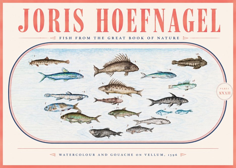Joris Hoefnagel Fish from the Great Book of Nature No5 - Juliste