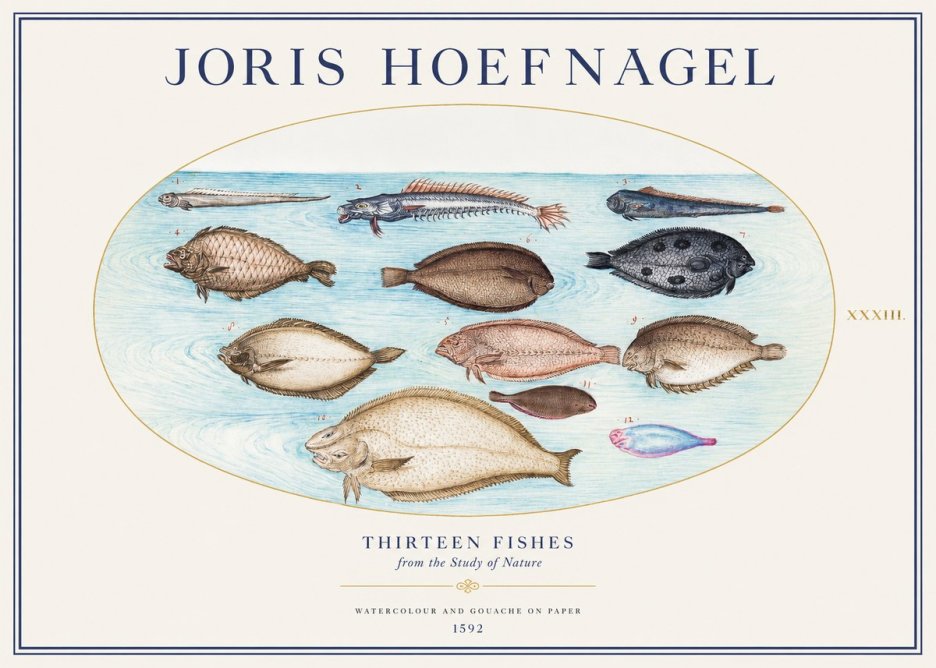 Joris Hoefnagel Thirteen Fishes from the Study of Nature No1 - Juliste