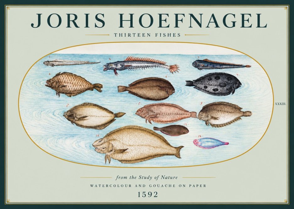 Joris Hoefnagel Thirteen Fishes from the Study of Nature No3 - Juliste