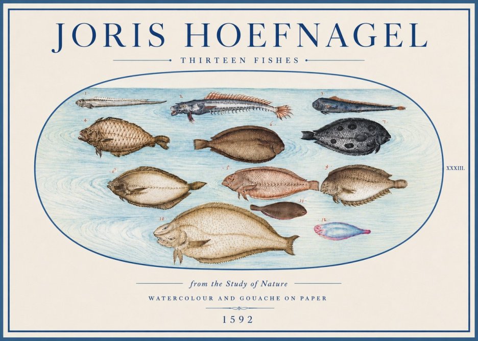 Joris Hoefnagel Thirteen Fishes from the Study of Nature No4 - Juliste