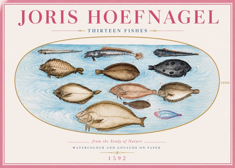 Joris Hoefnagel Thirteen Fishes from the Study of Nature No5 - Juliste