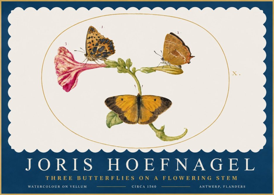 Joris Hoefnagel Three Butterflies on a Flowering Stem No2 - Juliste