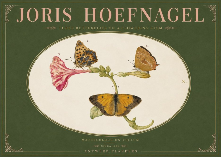 Joris Hoefnagel Three Butterflies on a Flowering Stem No4 - Juliste