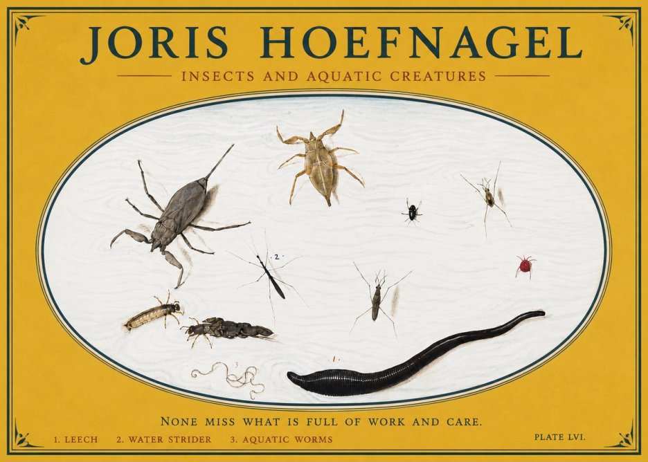 Joris Hoefnagel Insects and Aquatic Creatures No3 - Juliste