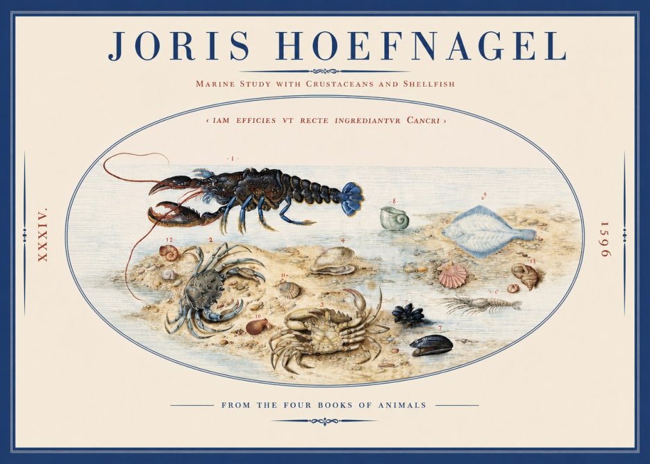 Joris Hoefnagel Marine Study with Crustaceans and Shellfish No2 - Juliste