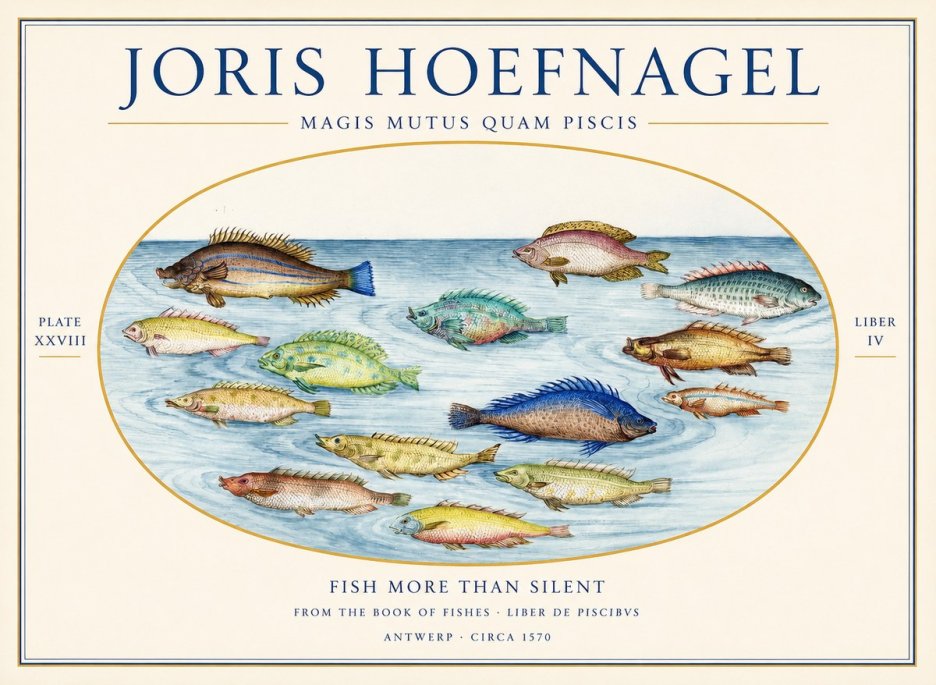 Joris Hoefnagel Fish More Than Silent No1 - Juliste
