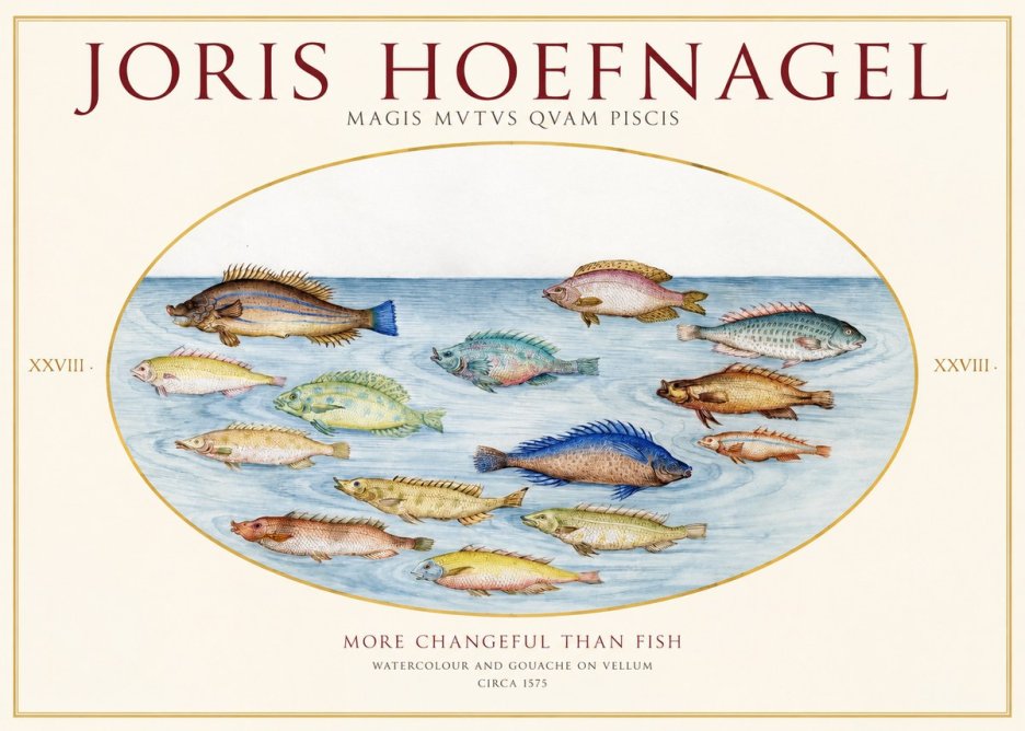 Joris Hoefnagel Fish More Than Silent No2 - Juliste