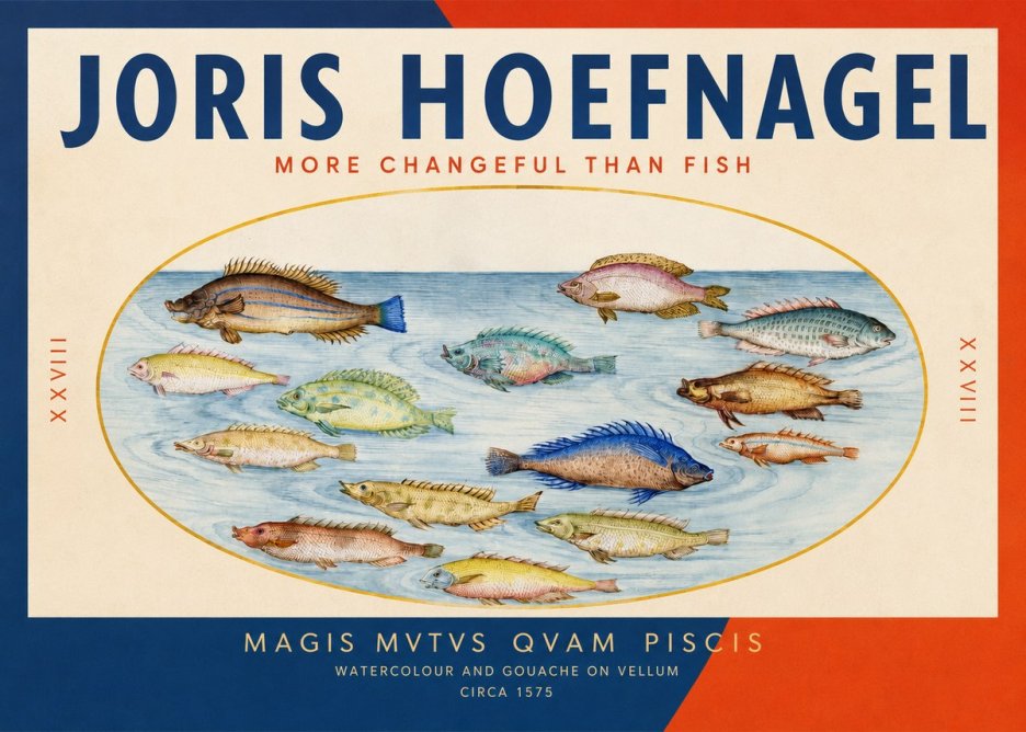 Joris Hoefnagel Fish More Than Silent No3 - Juliste