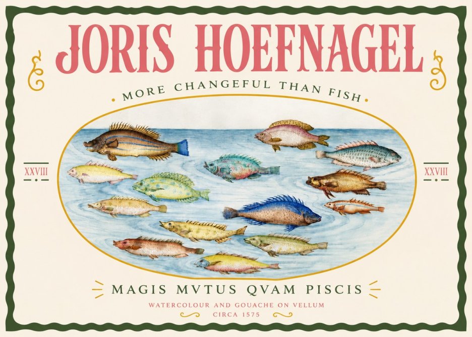 Joris Hoefnagel Fish More Than Silent No4 - Juliste