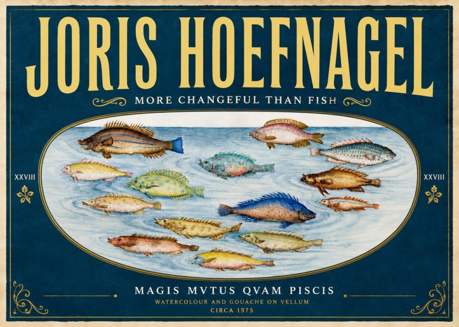 Joris Hoefnagel Fish More Than Silent No6 - Juliste