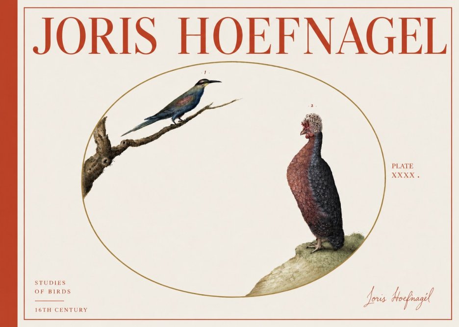 Joris Hoefnagel Studies of Birds I No4 - Juliste