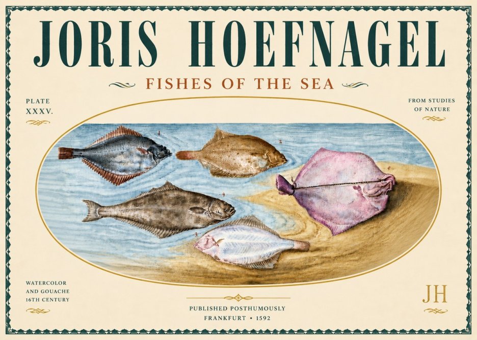 Joris Hoefnagel Fishes of the Sea II No5 - Juliste
