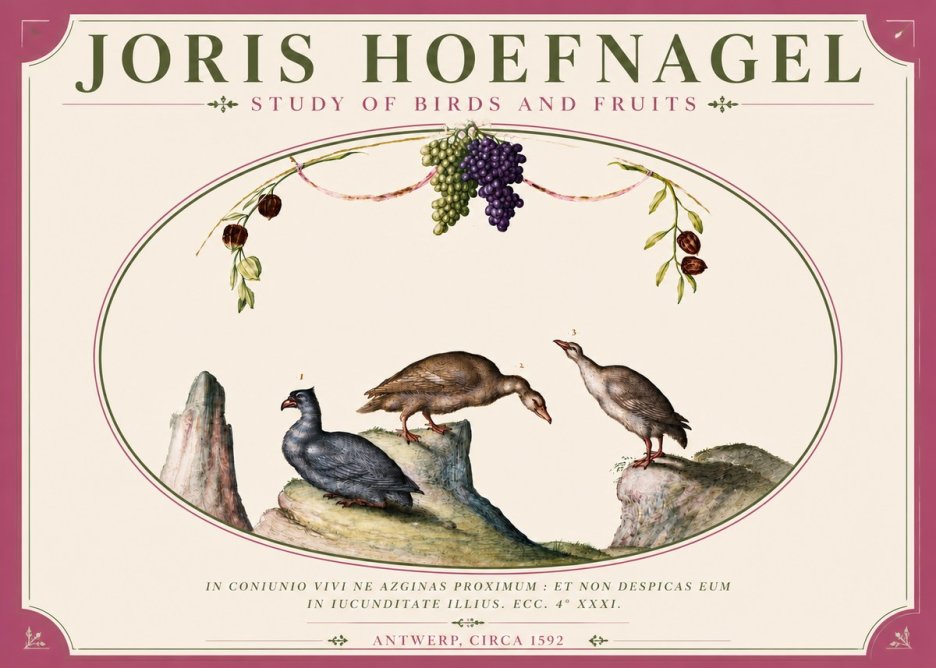 Joris Hoefnagel Three Birds with Grapes and Inscription No6 - Juliste