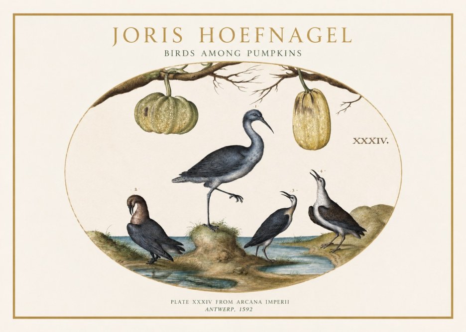 Joris Hoefnagel Birds and Fruits No2 - Juliste