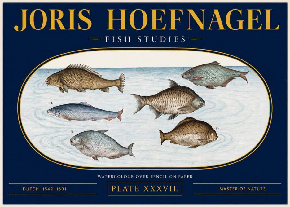 Joris Hoefnagel Six Freshwater Fish No4 - Juliste