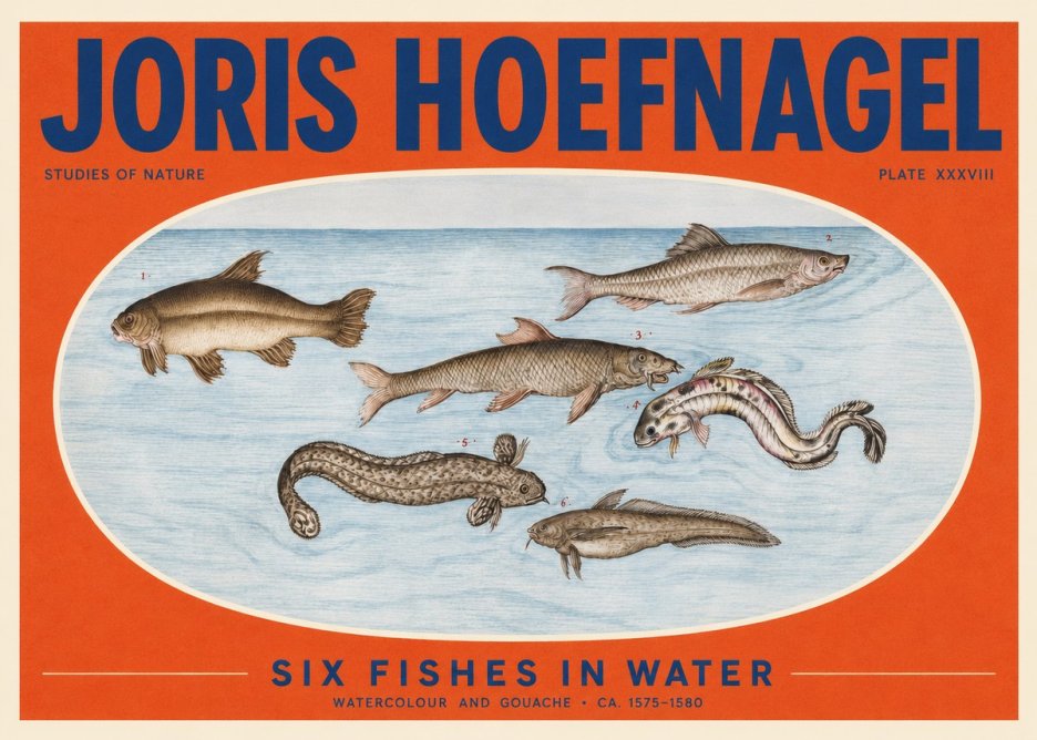 Joris Hoefnagel Six Fishes in Water II No2 - Juliste