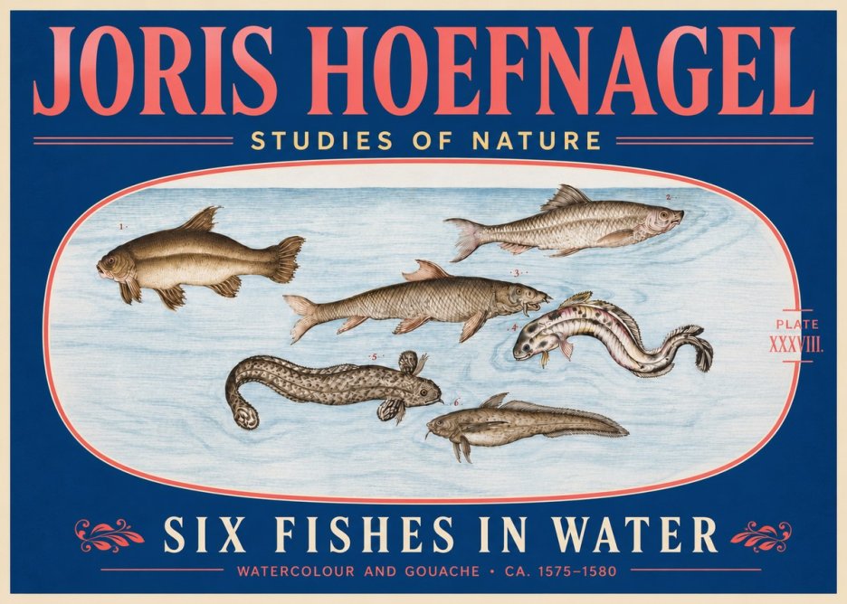 Joris Hoefnagel Six Fishes in Water II No5 - Juliste