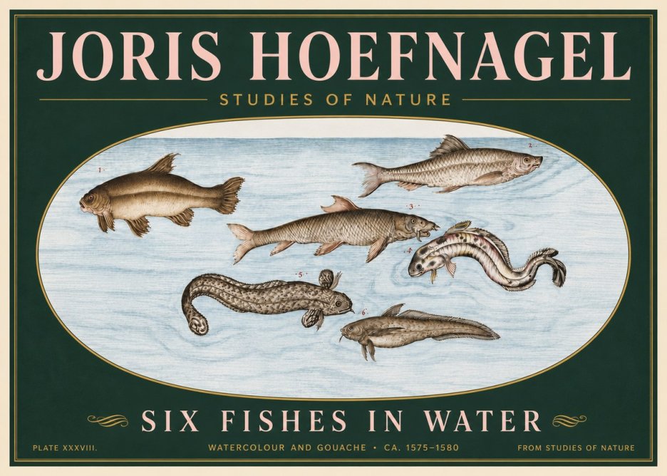 Joris Hoefnagel Six Fishes in Water II No6 - Juliste