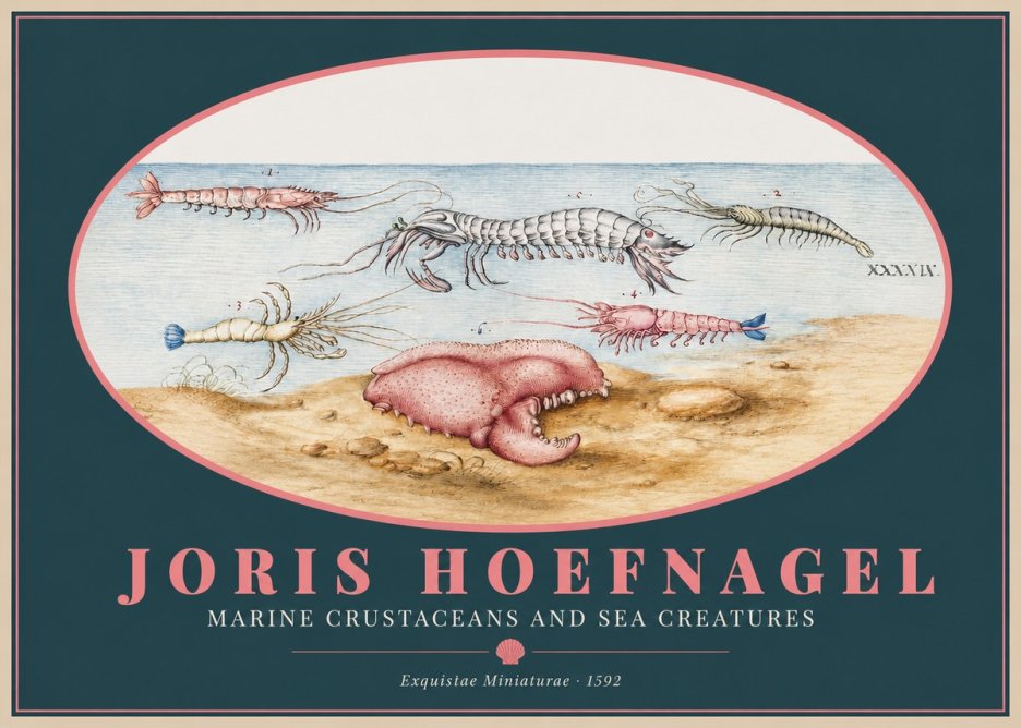 Joris Hoefnagel Marine Crustaceans and Sea Creature No2 - Juliste