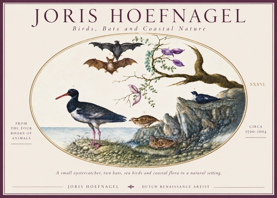 Joris Hoefnagel Birds, Bats and Coastal Nature No6 - Juliste