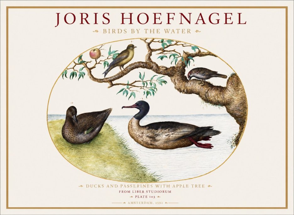 Joris Hoefnagel Ducks and Passerines with Apple Tree No1 - Juliste