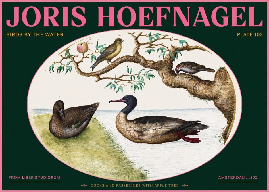 Joris Hoefnagel Ducks and Passerines with Apple Tree No2 - Juliste