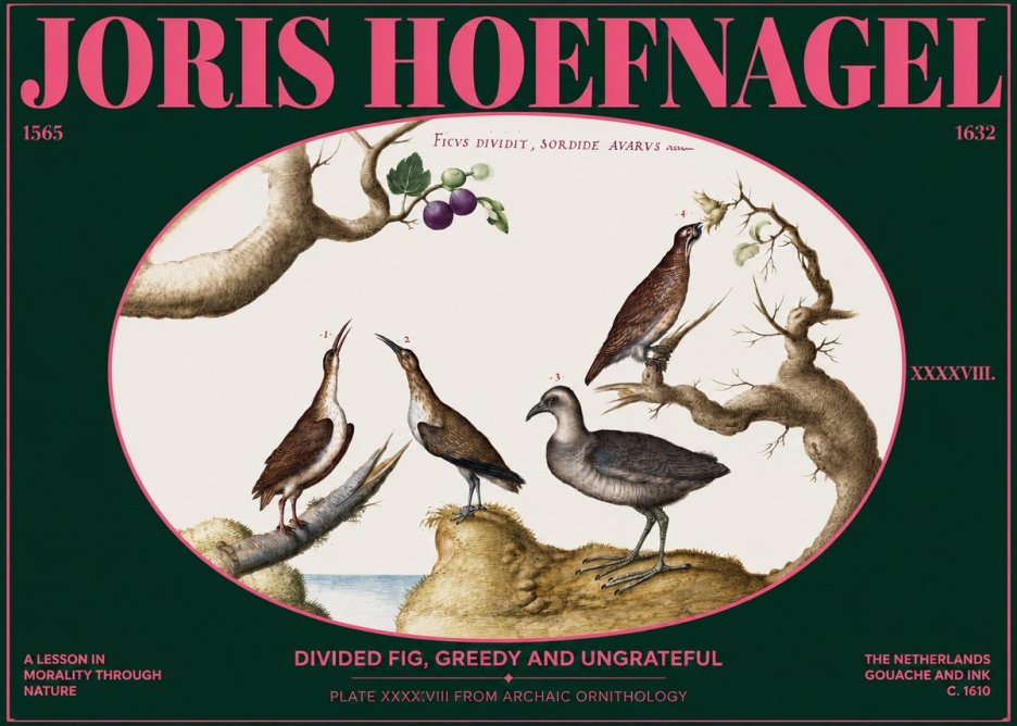 Joris Hoefnagel Birds from the Four Parts of the World No3 - Juliste