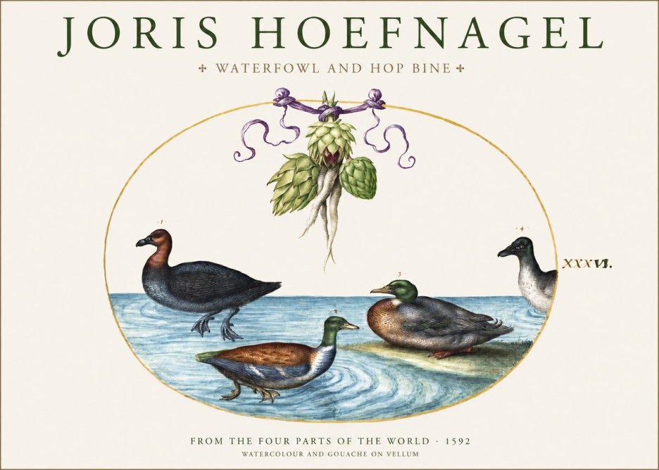 Joris Hoefnagel Waterfowl and Hop Bine No1 - Juliste