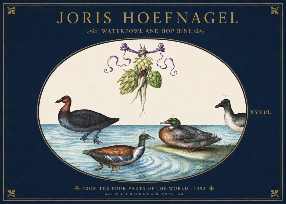 Joris Hoefnagel Waterfowl and Hop Bine No2 - Juliste