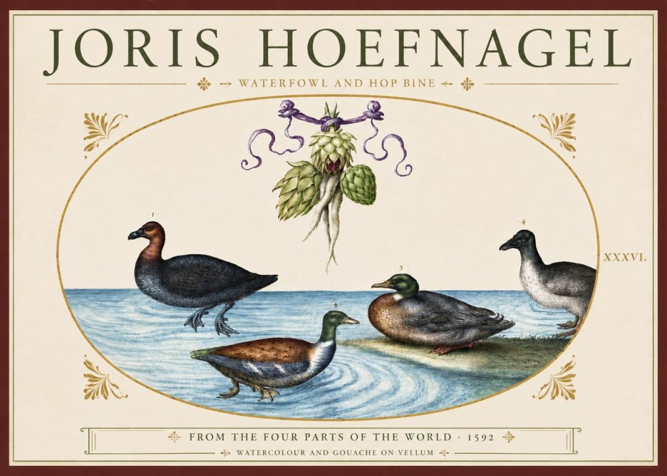 Joris Hoefnagel Waterfowl and Hop Bine No3 - Juliste