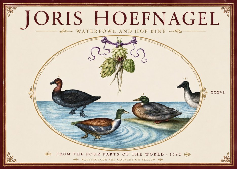 Joris Hoefnagel Waterfowl and Hop Bine No4 - Juliste