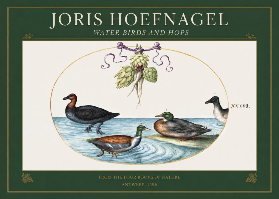 Joris Hoefnagel Waterfowl and Hop Bine No5 - Juliste