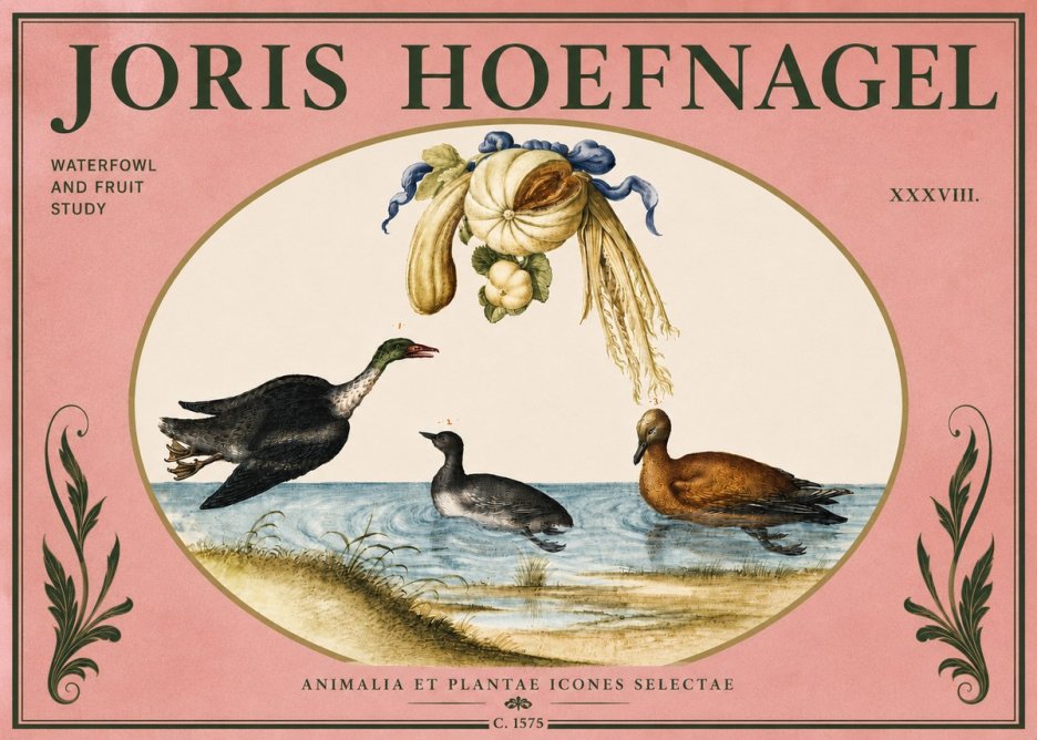 Joris Hoefnagel Waterfowl and Fruit Study No4 - Juliste