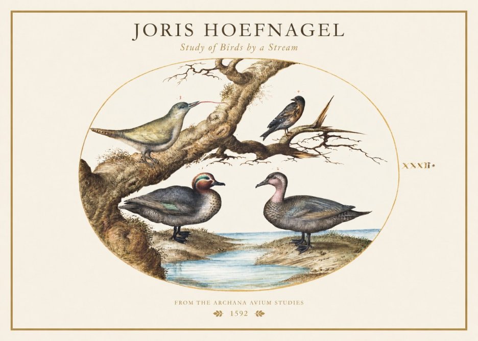Joris Hoefnagel Study of Birds by a Stream No1 - Juliste