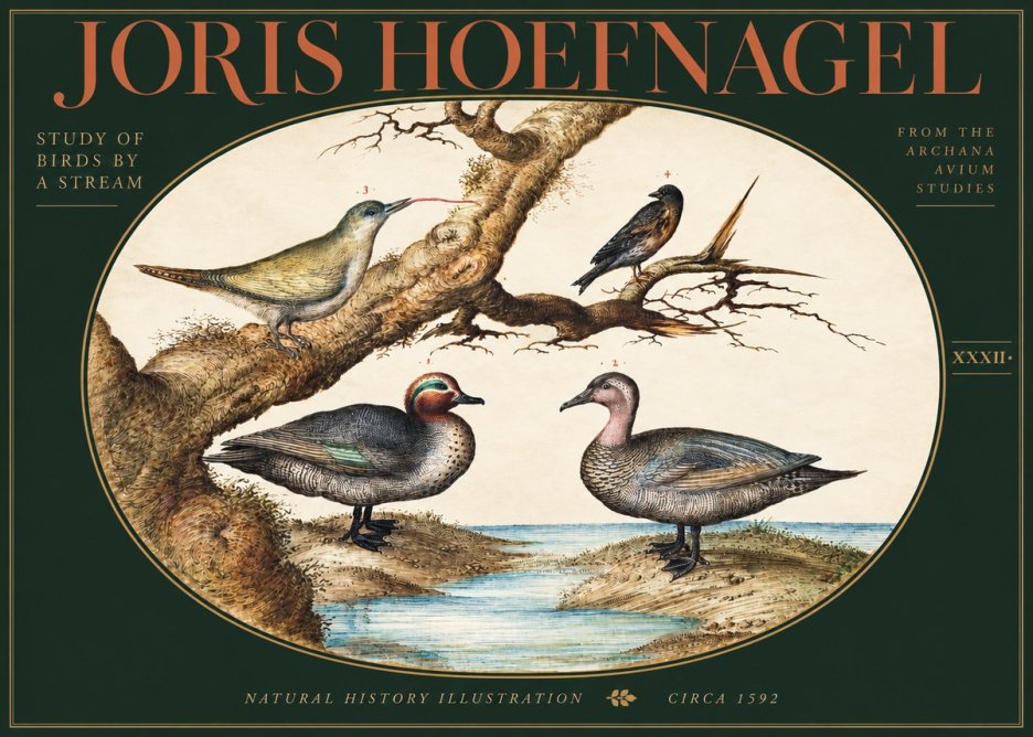 Joris Hoefnagel Study of Birds by a Stream No3 - Juliste