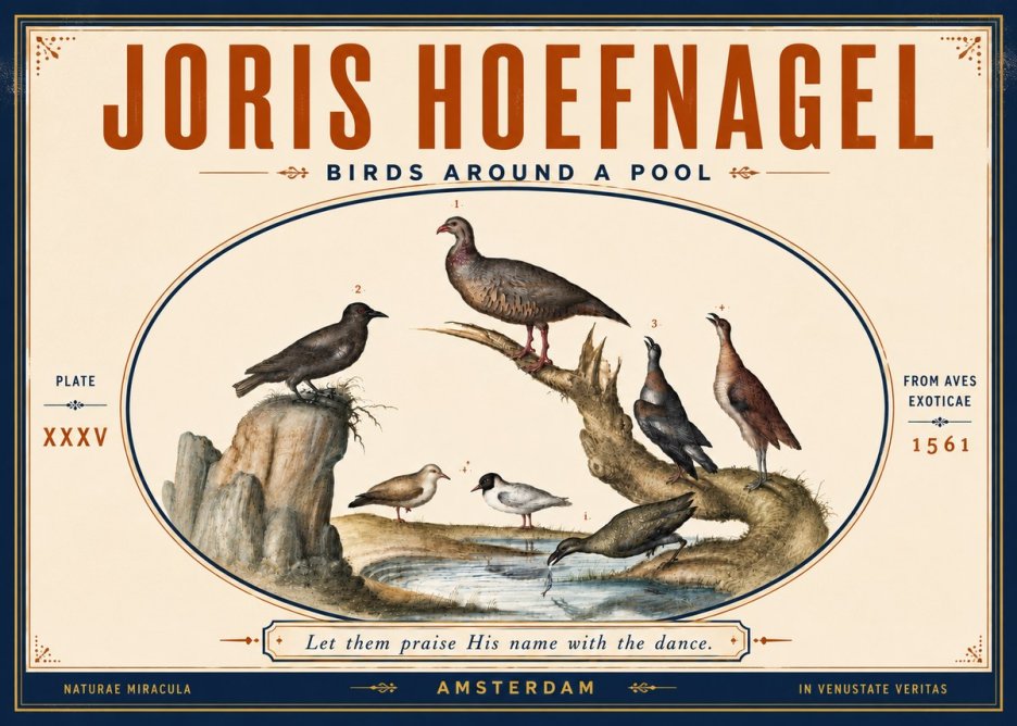 Joris Hoefnagel Birds Around a Pool No5 - Juliste