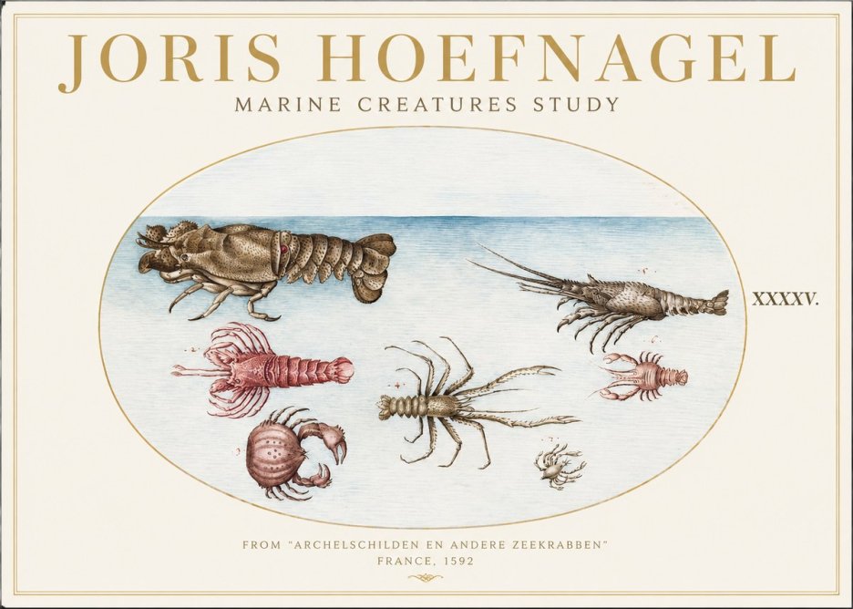 Joris Hoefnagel Studies of Crustaceans No2 - Juliste
