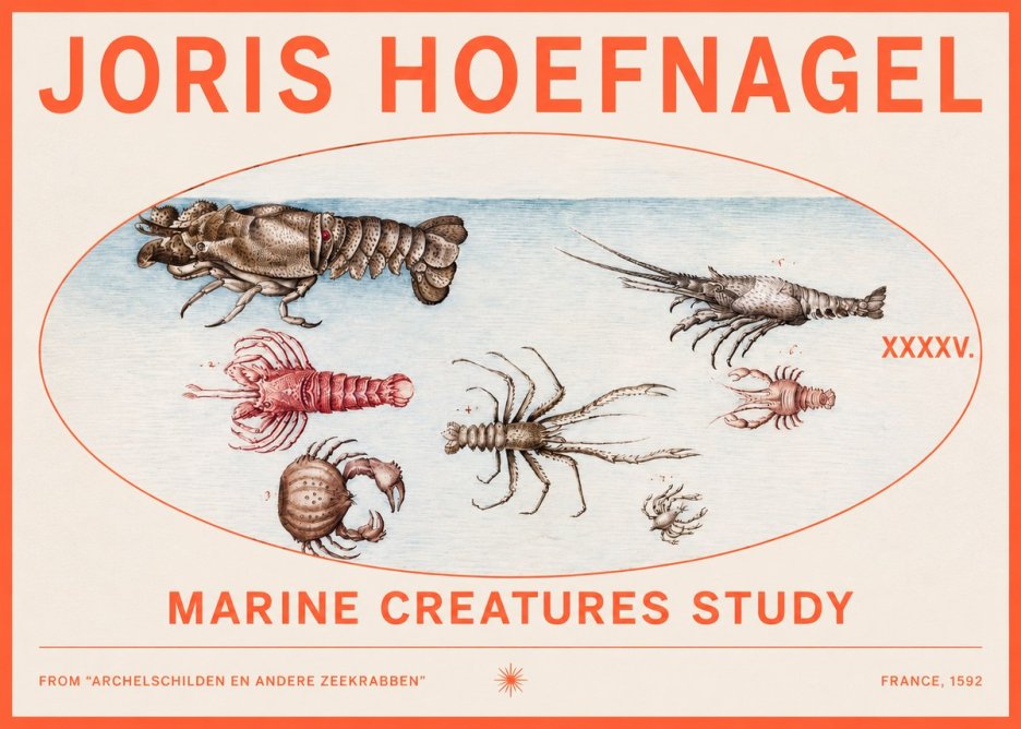 Joris Hoefnagel Studies of Crustaceans No3 - Juliste