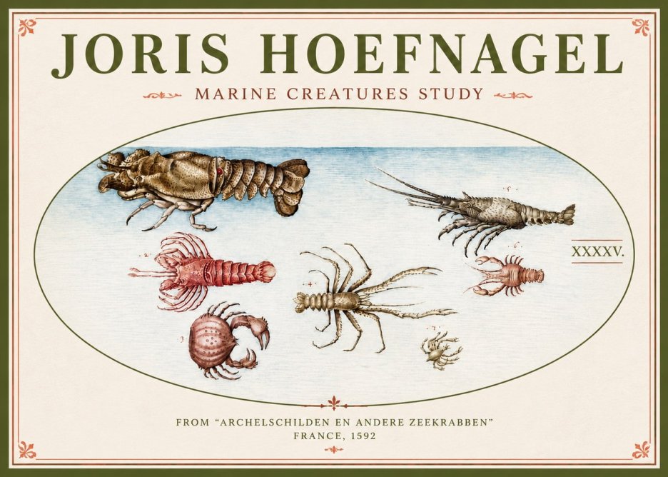 Joris Hoefnagel Studies of Crustaceans No5 - Juliste