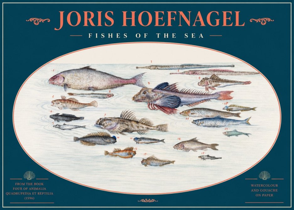 Joris Hoefnagel Fishes of the Sea III No2 - Juliste