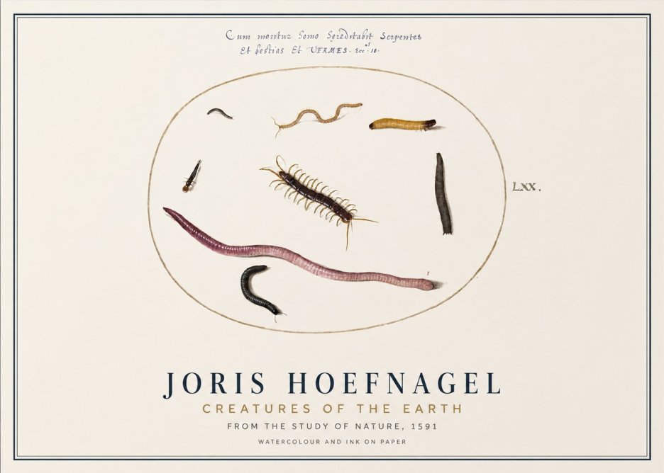 Joris Hoefnagel Creatures of the Earth II No1 - Juliste